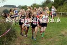 Girls under-15s, Start Fitness North Eastern Harrier League, Tanfield, County Durham. Photo: David T. Hewitson/Sports for All Pics